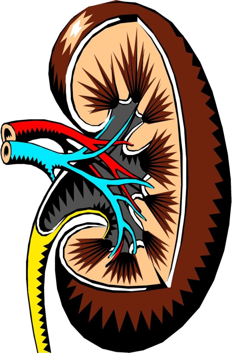 kidney specialist in goa